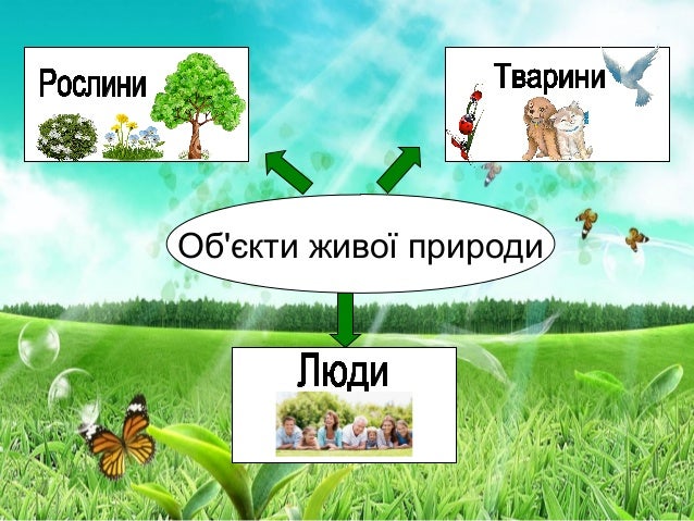 Картинки з живою природою Картинки з живою природою